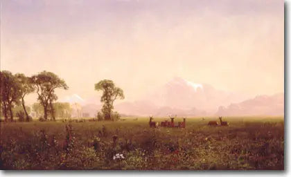 Élans broutant dans la région de Wind River - Albert Bierstadt image 1 reproduction artisanale de tableau