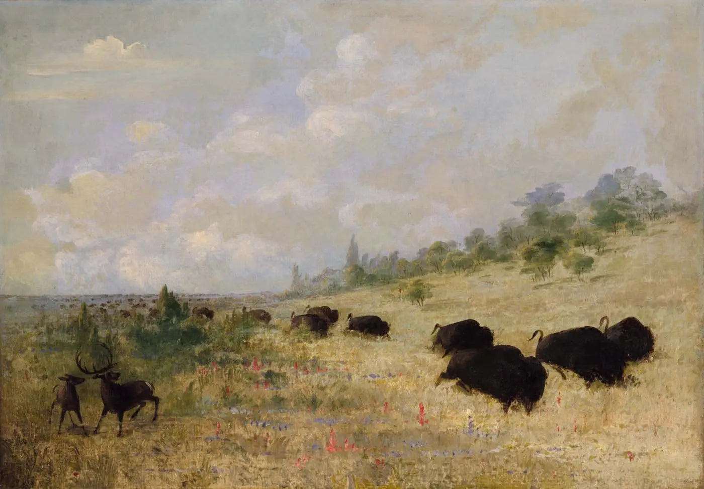 Élans et bisons broutant parmi les fleurs des prairies, Texas - George Catlin image 1 reproduction réalisée par Alpha Reproduction