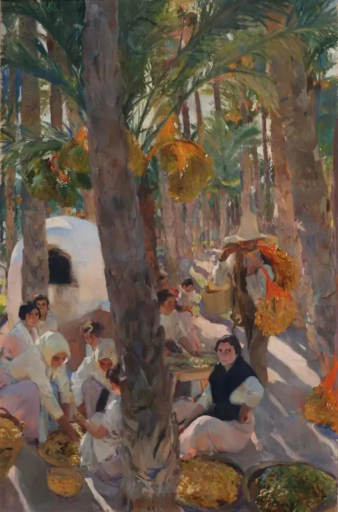 Elche - Joaquín Sorolla