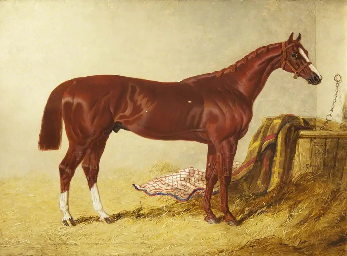 Elis, vainqueur du St Leger Stakes, 1836, dans un box détaché - John Frederick Herring, Sr. image 1 reproduction réalisée par Alpha Reproduction