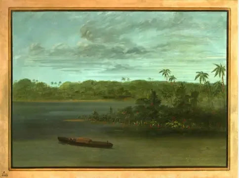 Embouchure du Rio Purus - George Catlin image 1 reproduction réalisée par Alpha Reproduction