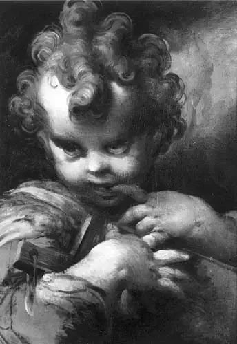 Enfant Saint Jean - Parmigianino