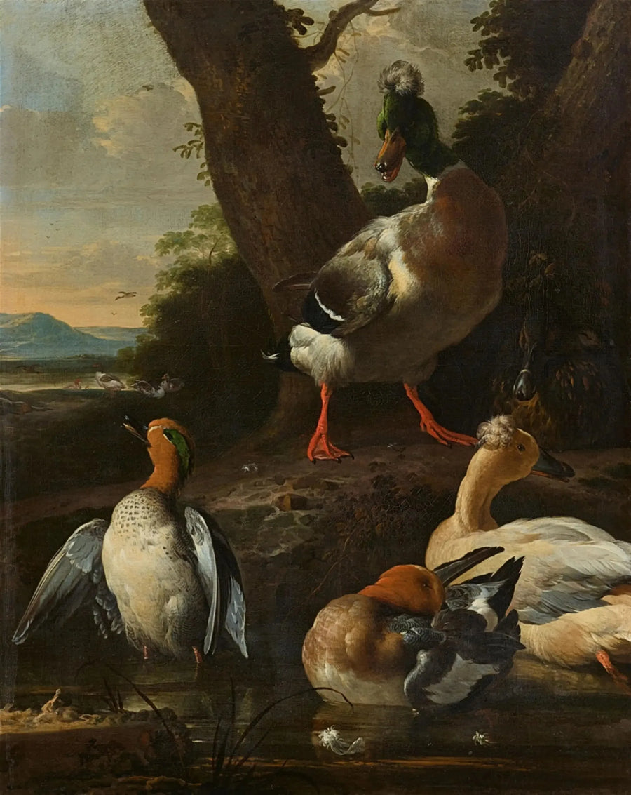 Enten in bewaldeter Landschaft - Melchior de Hondecoeter