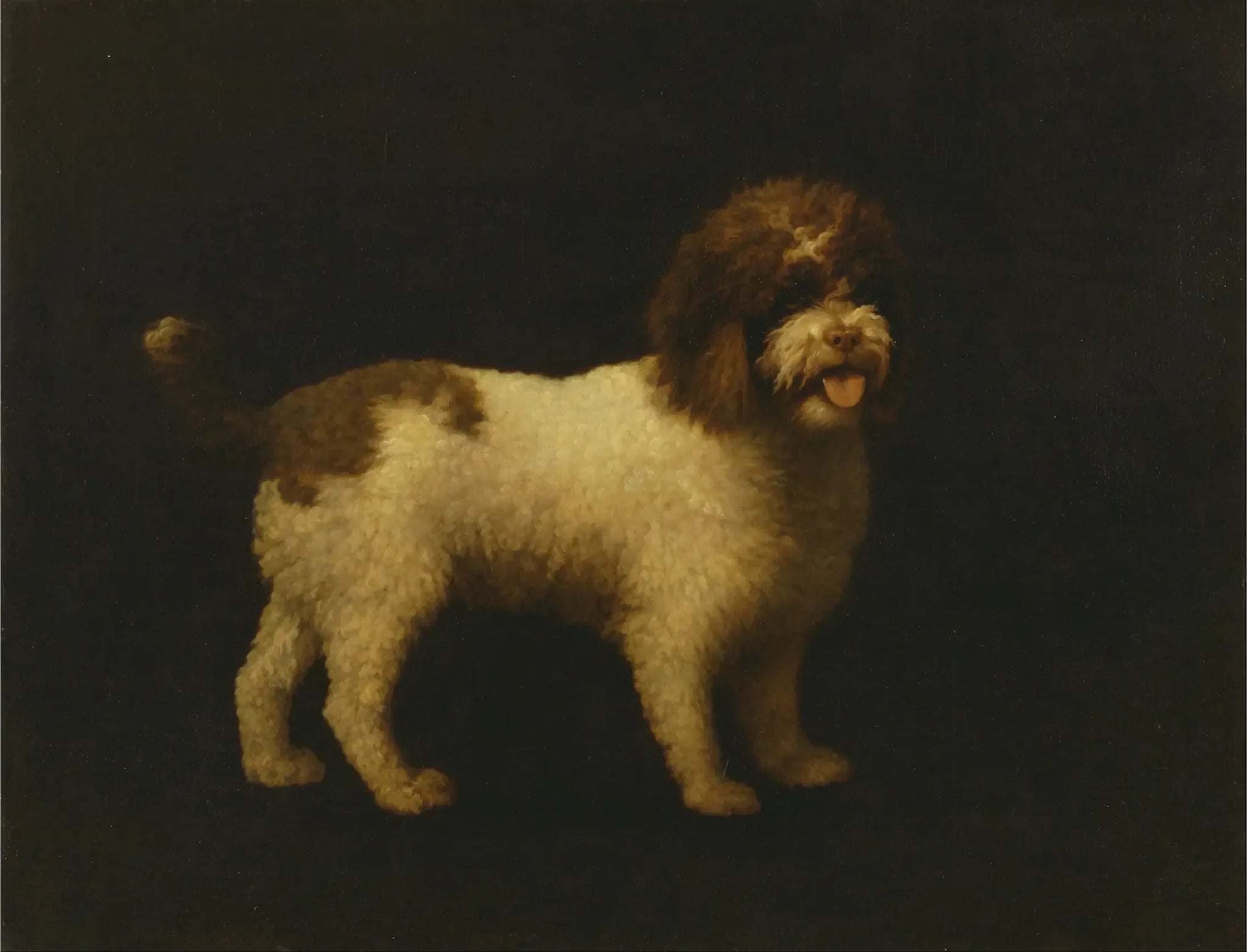 Épagneul d'eau - George Stubbs image 1 reproduction d’œuvre d’art à l’huile