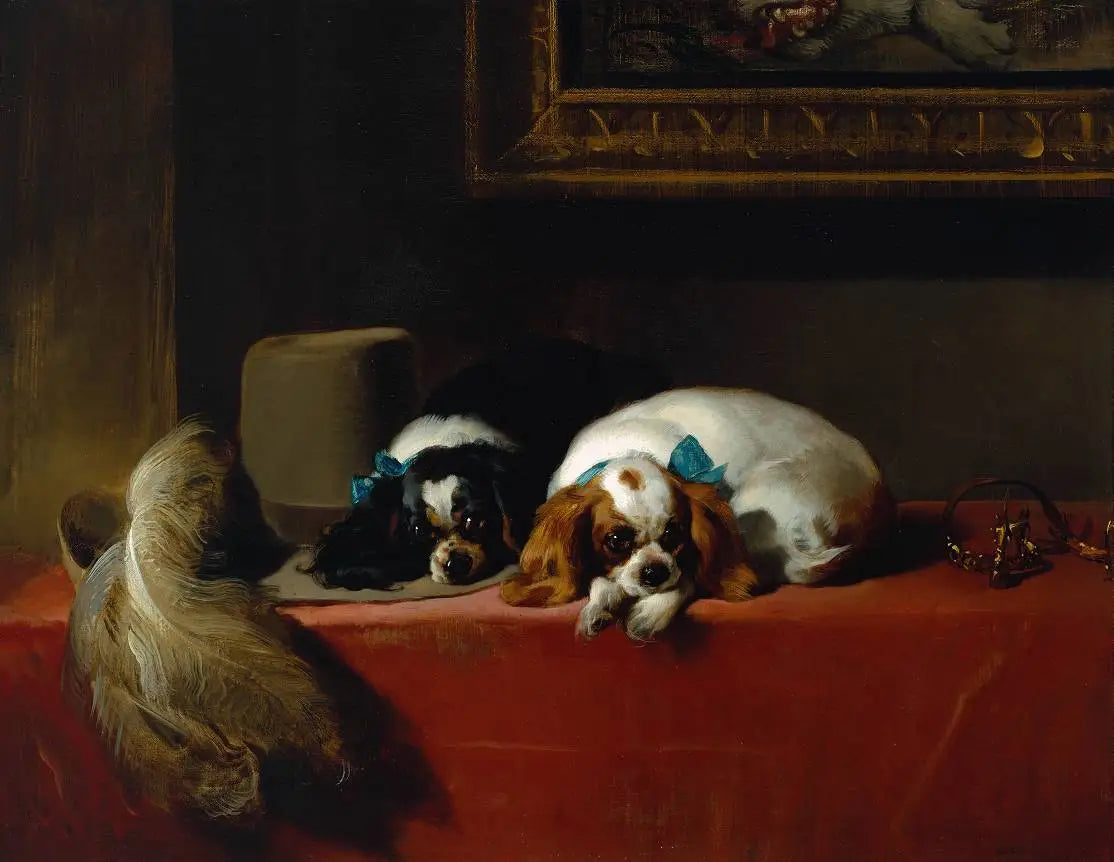 Épagneuls King Charles (« Les animaux de compagnie du cavalier ») - Edwin Henry Landseer image 1 reproduction artisanale de tableau