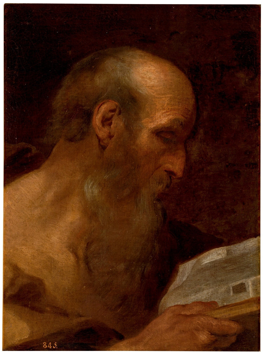 Estudio de cabeza - Andrea Sacchi