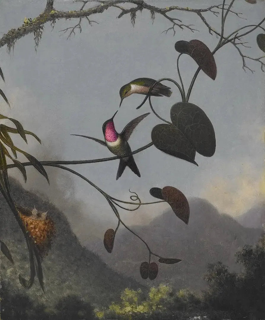 Étoile des bois améthyste - Martin Johnson Heade image 1 copie de tableau peinte à la main