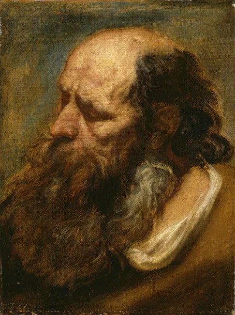 Étude de portrait d'un vieil homme barbu - Jacob Jordaens image 1 reproduction artisanale de tableau
