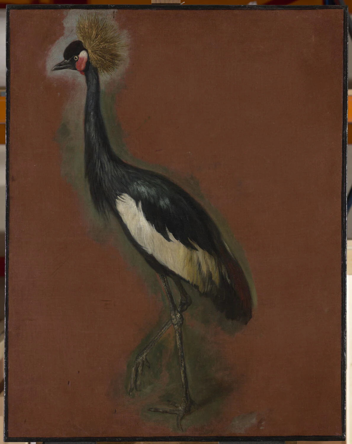 Étude d'une grue couronnée - Pieter Boel