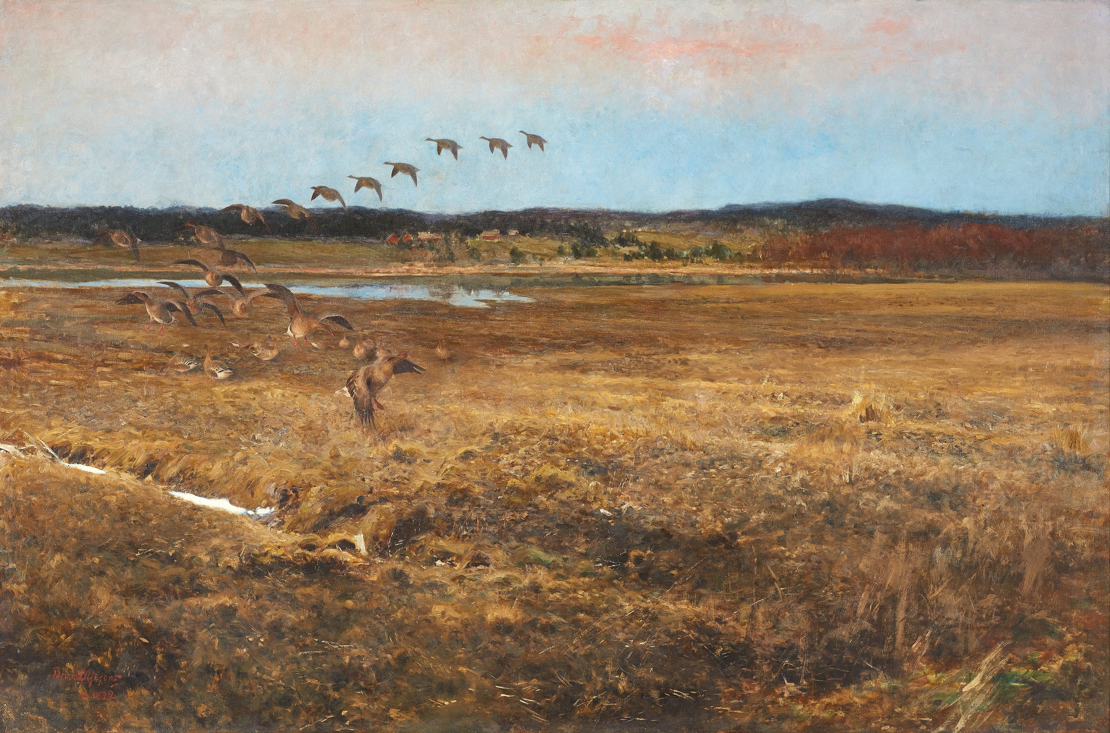 Fällande vildgäss - Bruno Liljefors image 1 copie de tableau peinte à la main