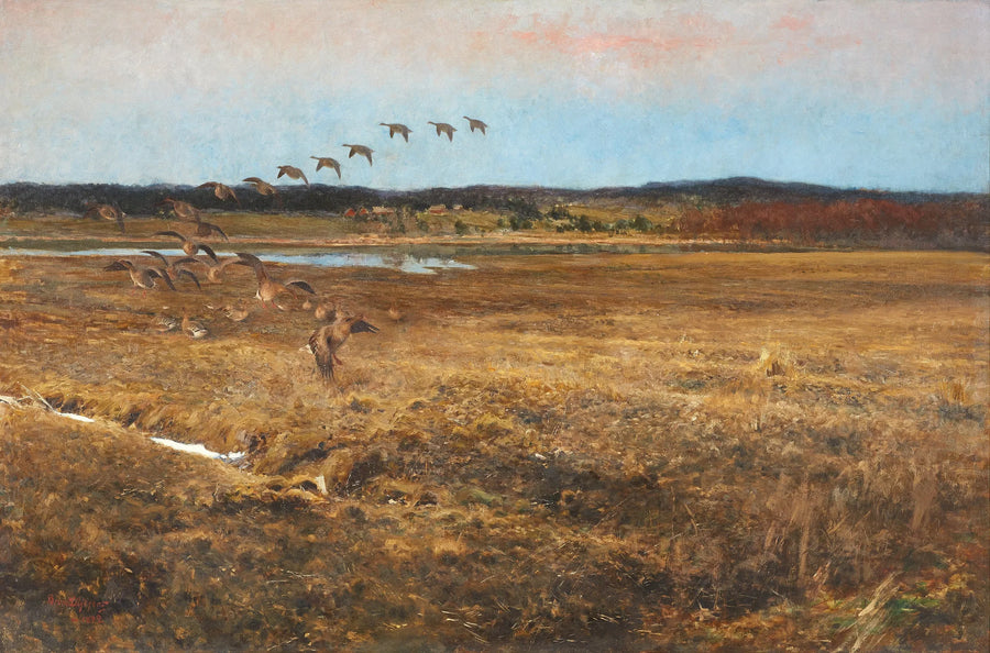 Fällande vildgäss - Bruno Liljefors