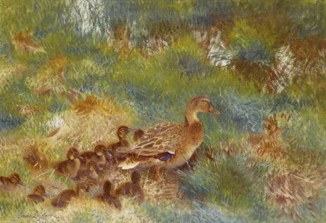 famille de canards - Bruno Liljefors image 1 copie de tableau peinte à la main