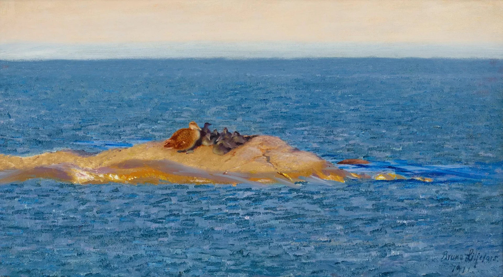 Famille Eider - Bruno Liljefors image 1 reproduction réalisée par Alpha Reproduction