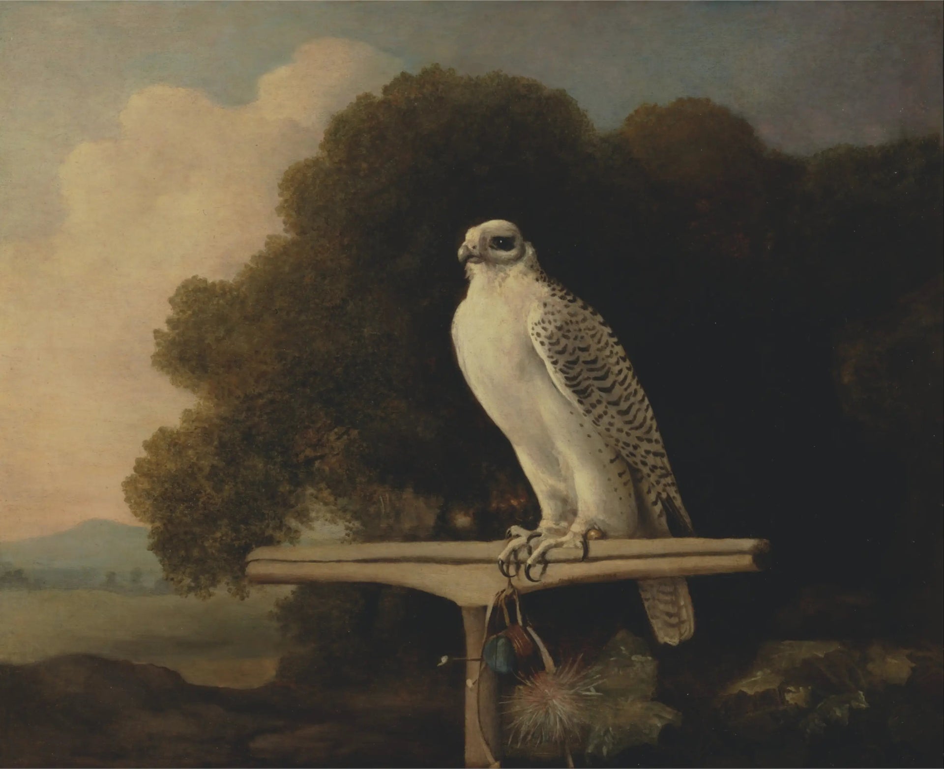 Faucon du Groenland - George Stubbs image 1 reproduction de peinture à l’huile