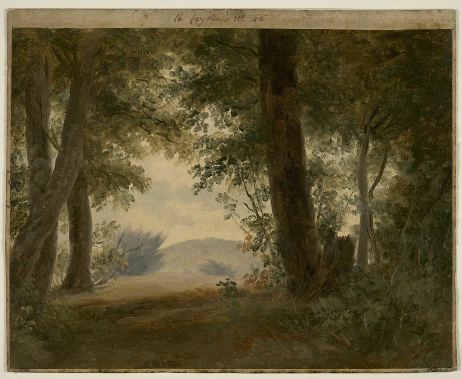 À la Fayolle, près de Nemi : forêt et fonds, dit aussi : Clairière d'un sous-bois - Pierre de Valenciennes