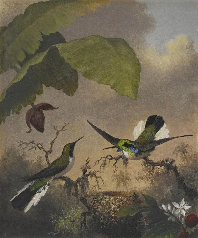 Fée aux oreilles noires - Martin Johnson Heade
