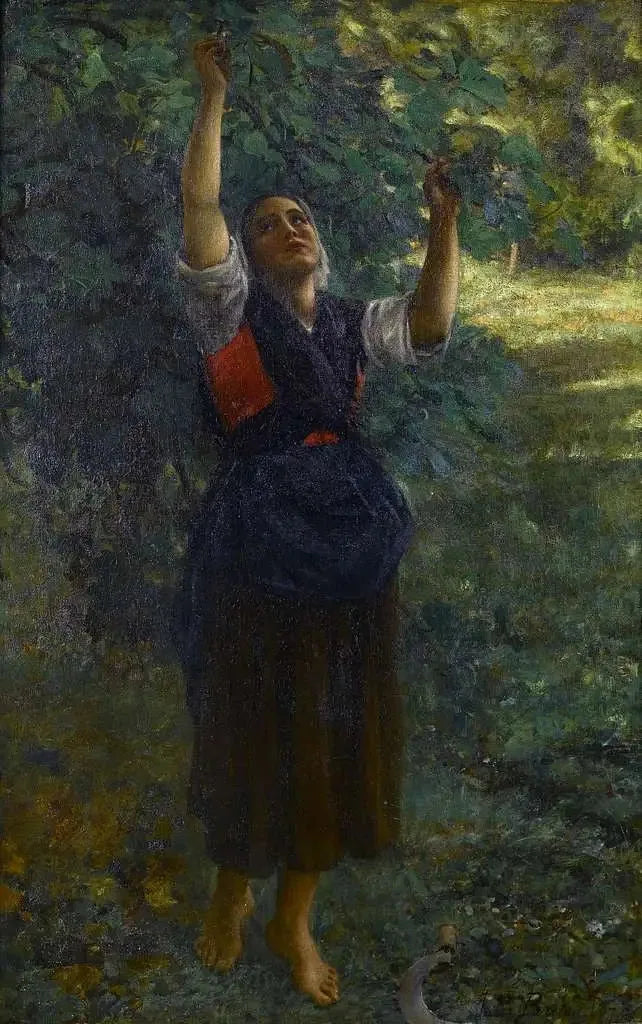 Fille cueillant des figues - Jules Breton image 1 reproduction d’œuvre d’art à l’huile