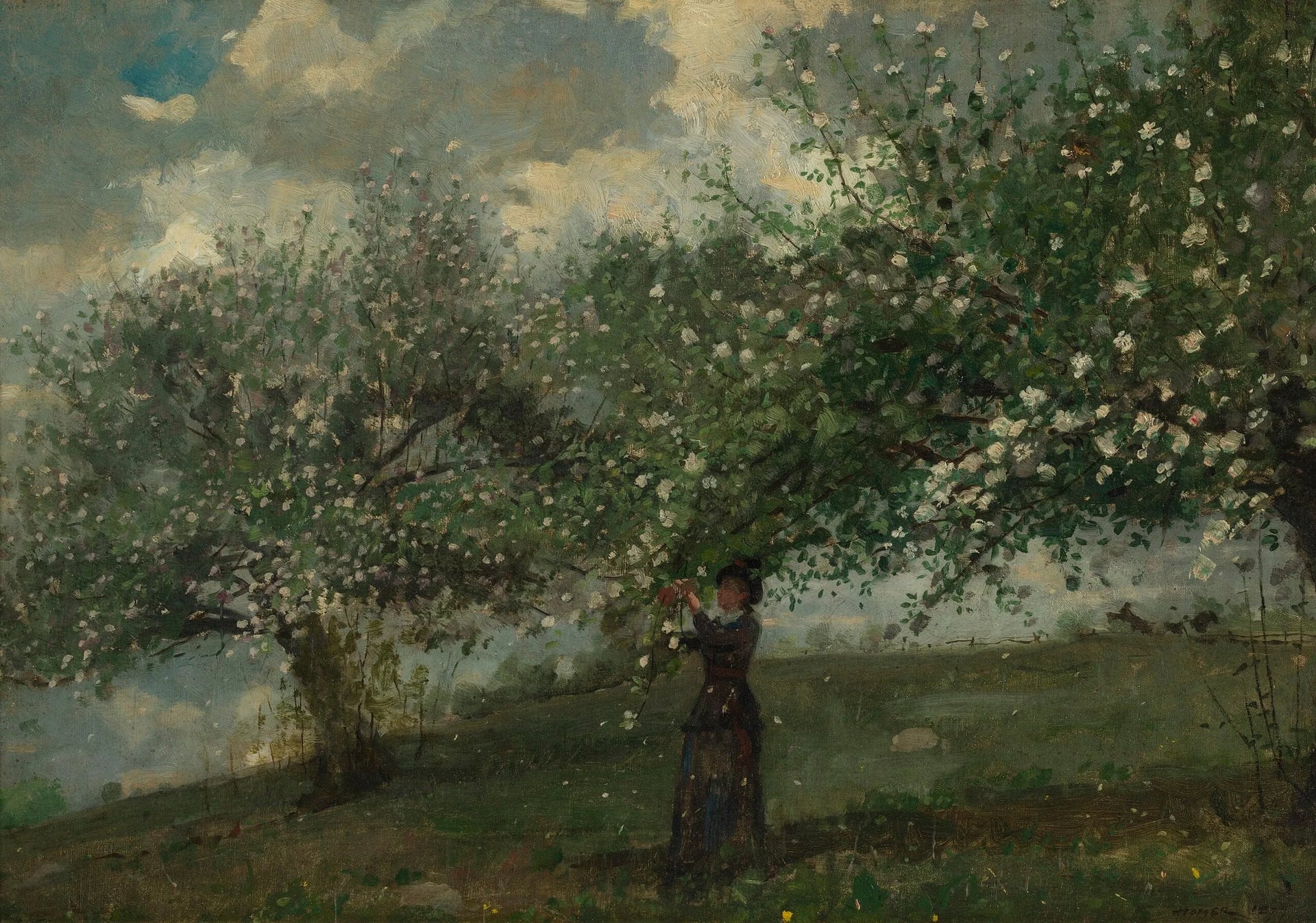Fille cueillant des fleurs de pommier - Winslow Homer image 1 reproduction de peinture à l’huile