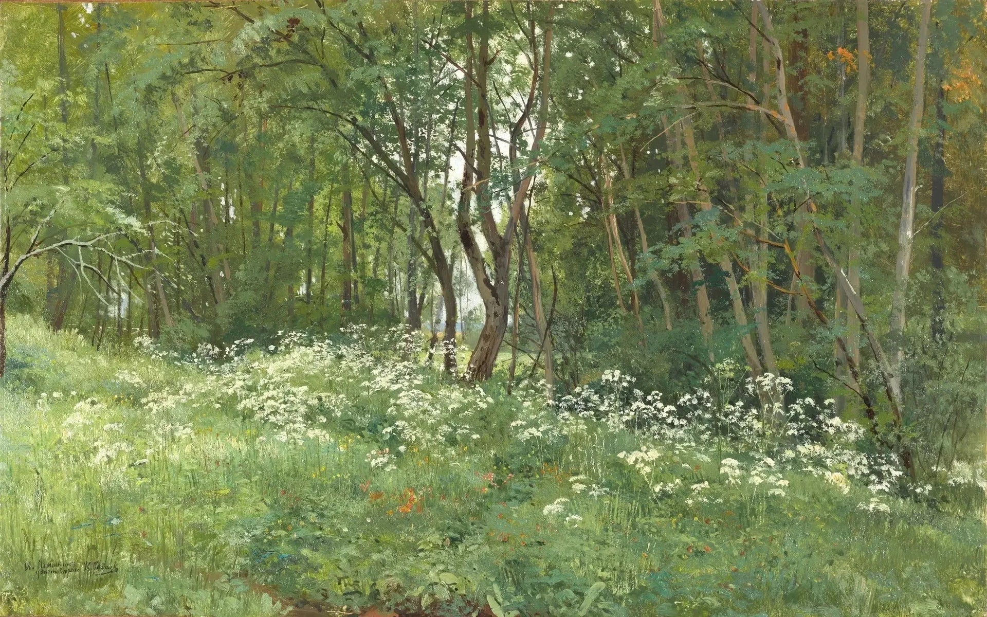 Fleurs à la lisière de la forêt - Ivan Chichkine image 1 copie de tableau peinte à la main
