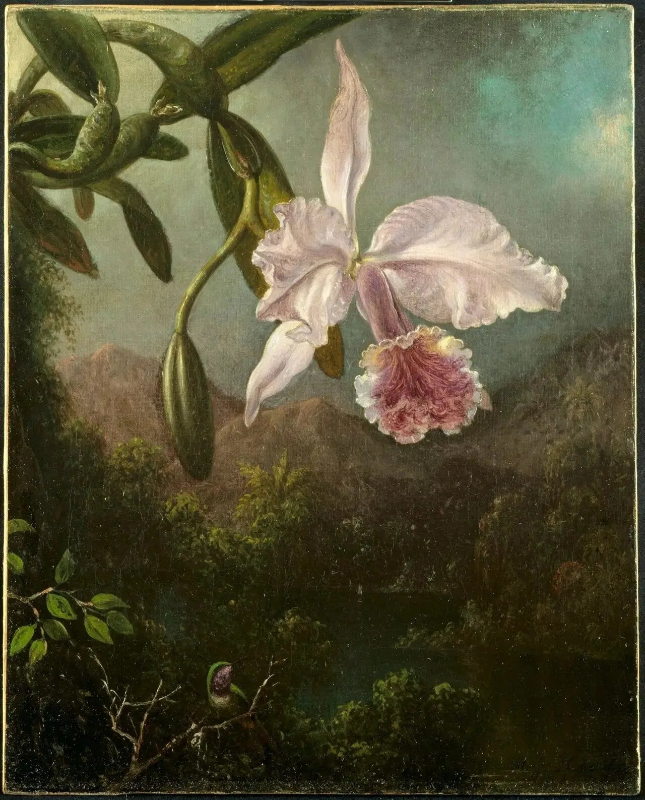 Fleurs d'orchidées - Martin Johnson Heade image 1 copie peinte à la main à l’huile