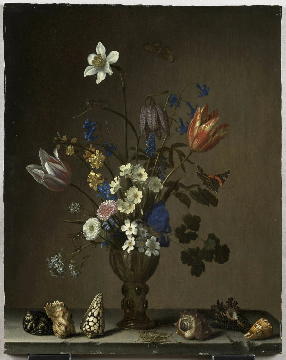 Fleurs dans une coupe de verre, coquillages, papillons et sauterelle - Balthasar van der Ast