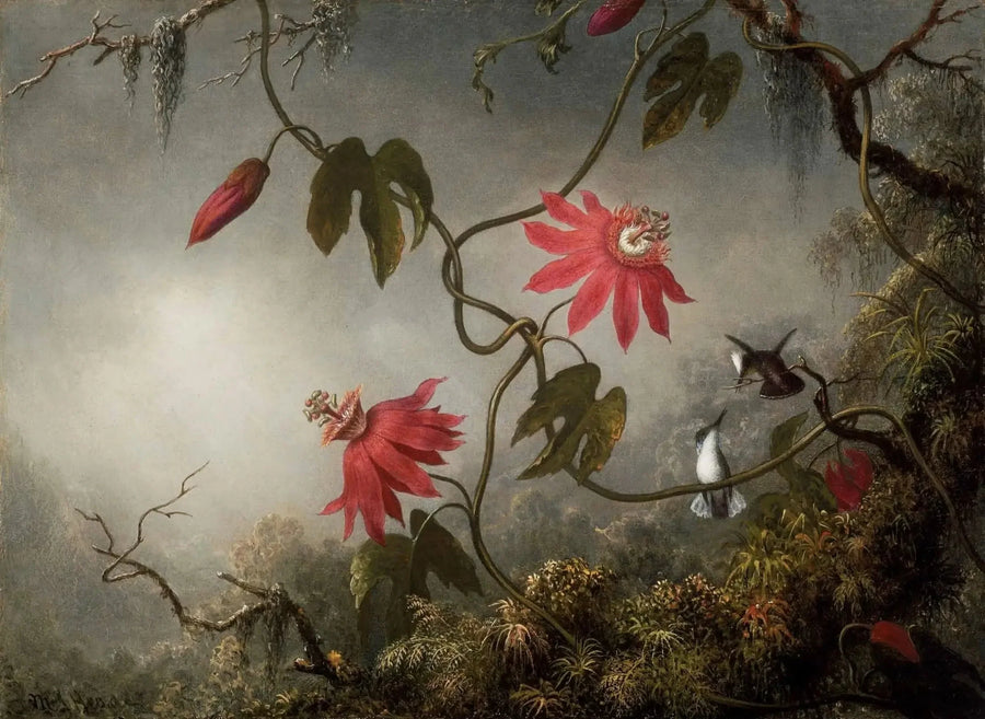 Fleurs de la passion et Colibris - Martin Johnson Heade