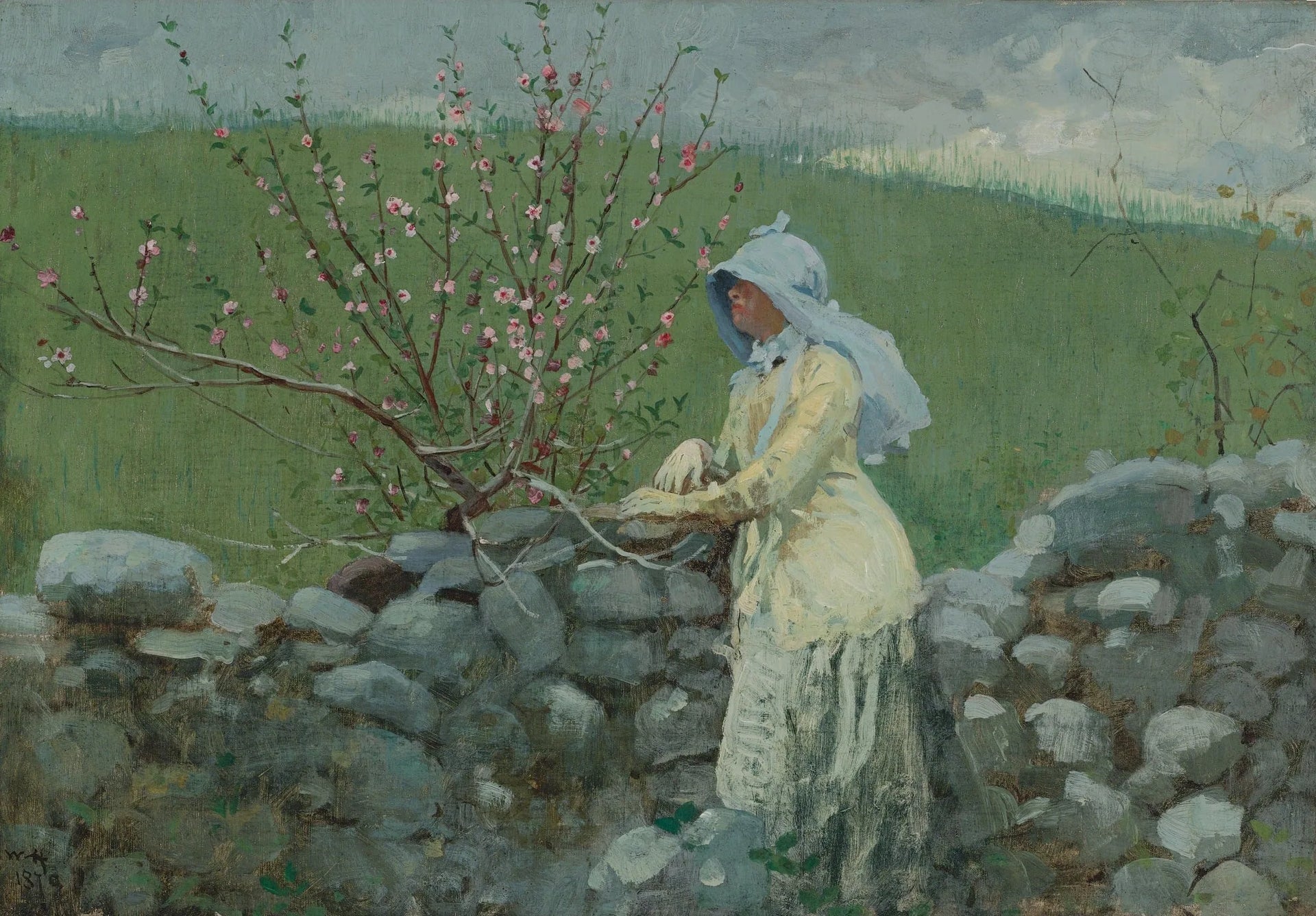 Fleurs de pêcher - Winslow Homer image 1 reproduction d’œuvre d’art à l’huile