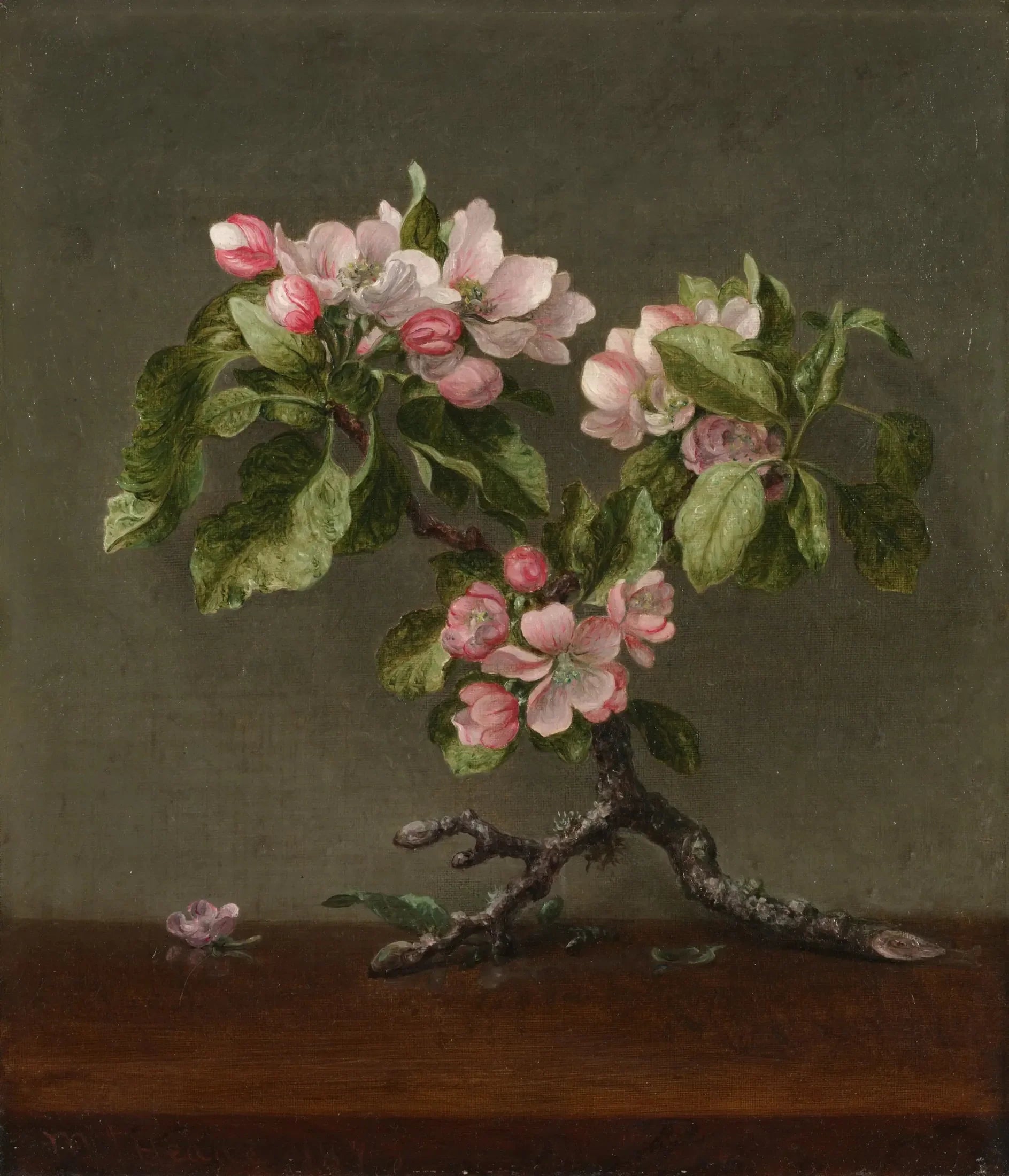 Fleurs de pommier - Martin Johnson Heade image 1 reproduction artisanale de tableau