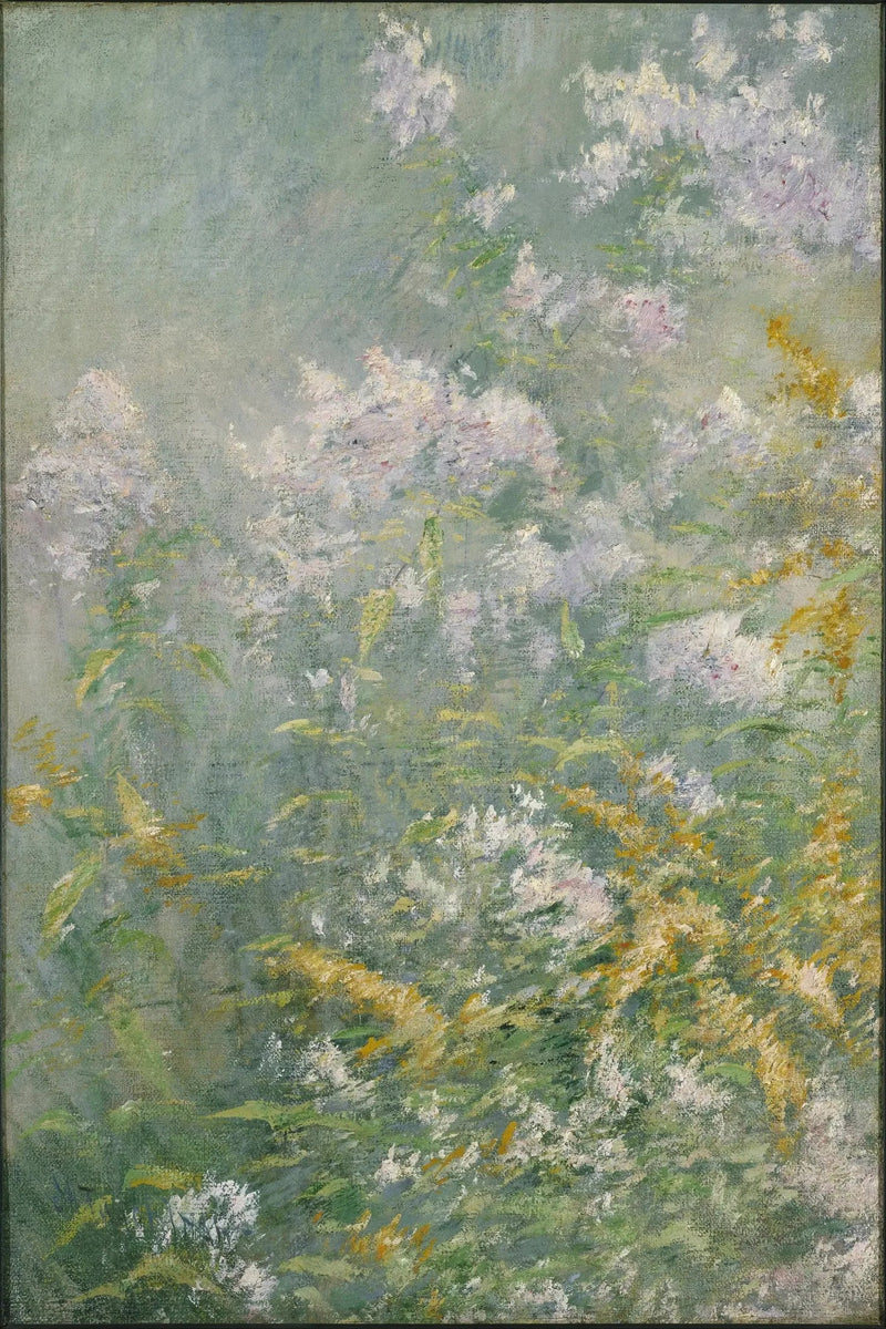 Fleurs des prés (Verge d'or et Aster sauvage) - John Henry Twachtman