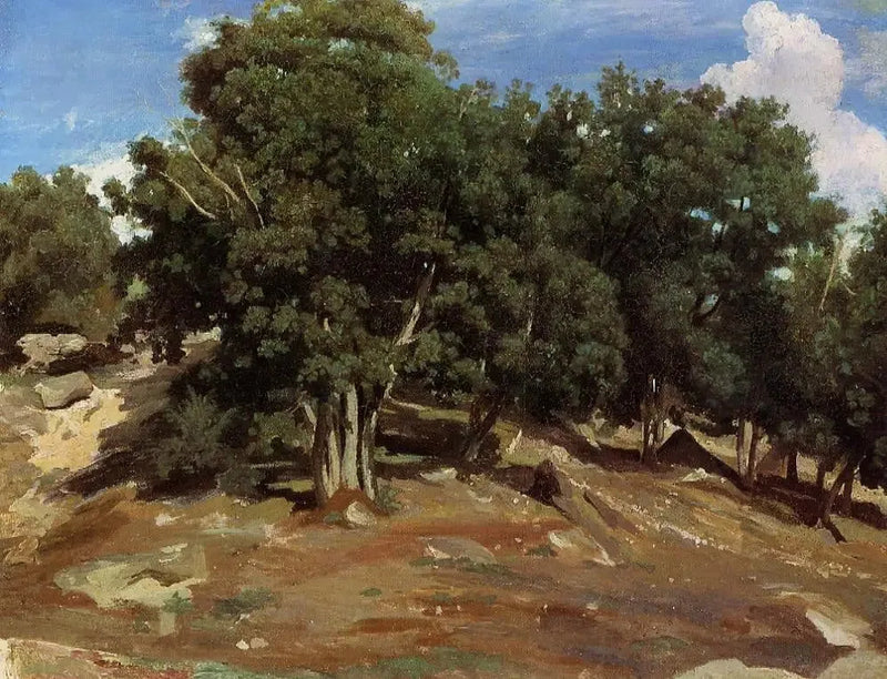 Fontainebleau – Chênes noirs du Bas-Préau - Jean-Baptiste Camille Corot