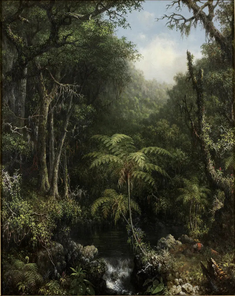 Forêt brésilienne - Martin Johnson Heade image 1 copie de tableau peinte à la main