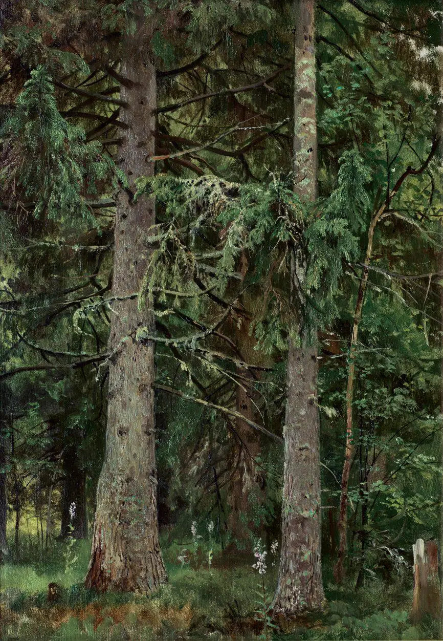Forêt d'épicéas - Ivan Chichkine image 1 tableau peint à l’huile sur toile