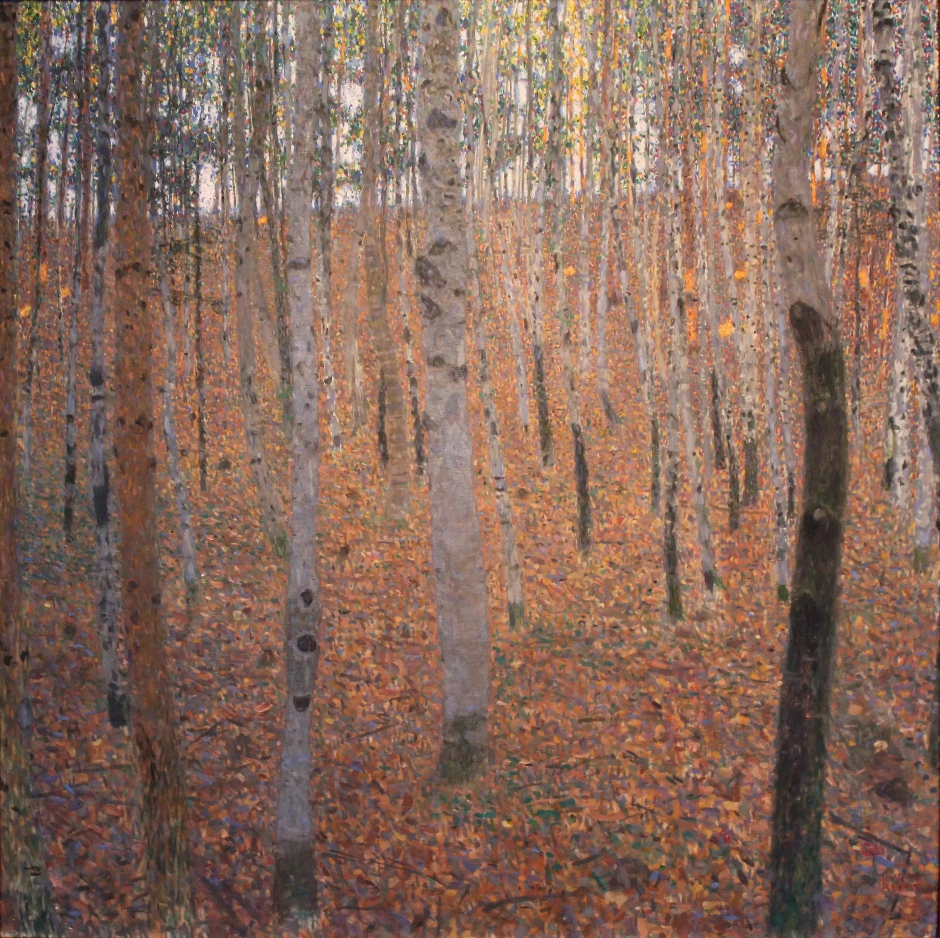 Forêt d'hêtres - Gustav Klimt image 1 copie de tableau peinte à la main