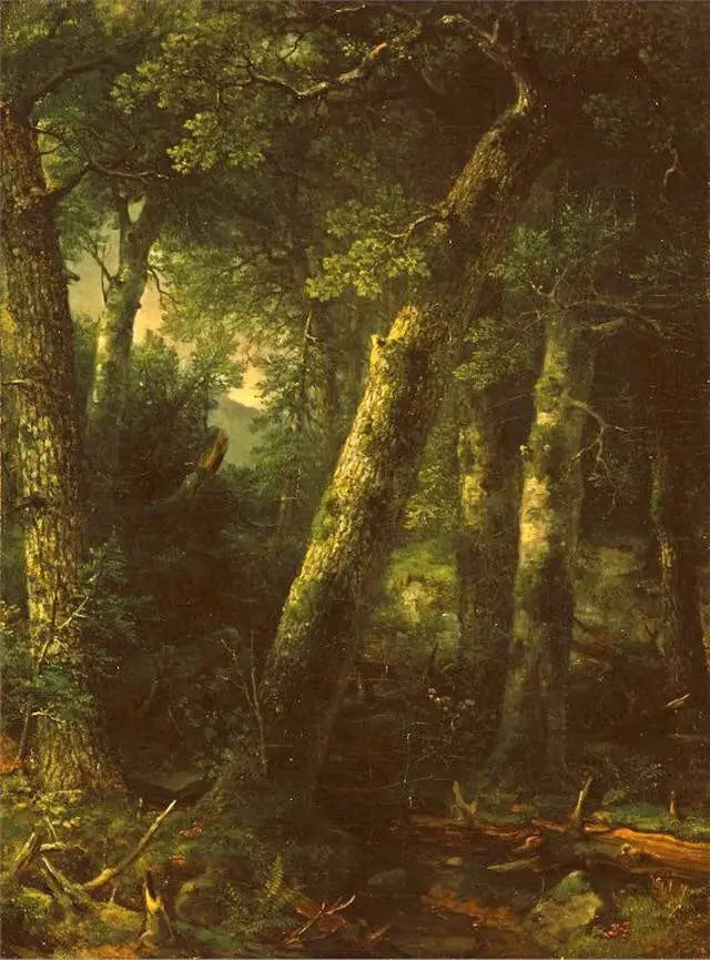 Forêt dans la lumière du matin - Asher Brown Durand image 1 tableau peint à l’huile sur toile
