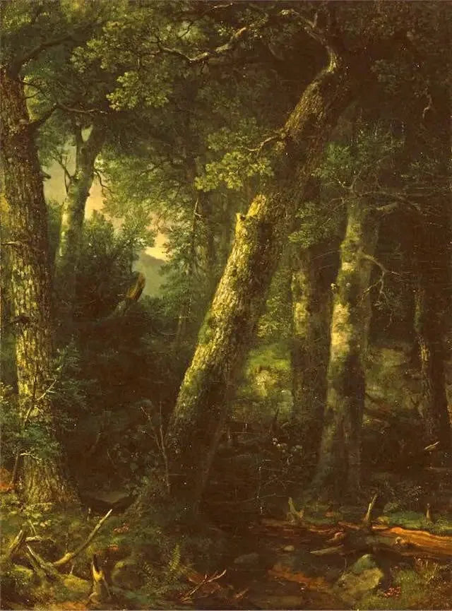 Forêt dans la lumière du matin - Asher Brown Durand image 1 tableau peint à l’huile sur toile
