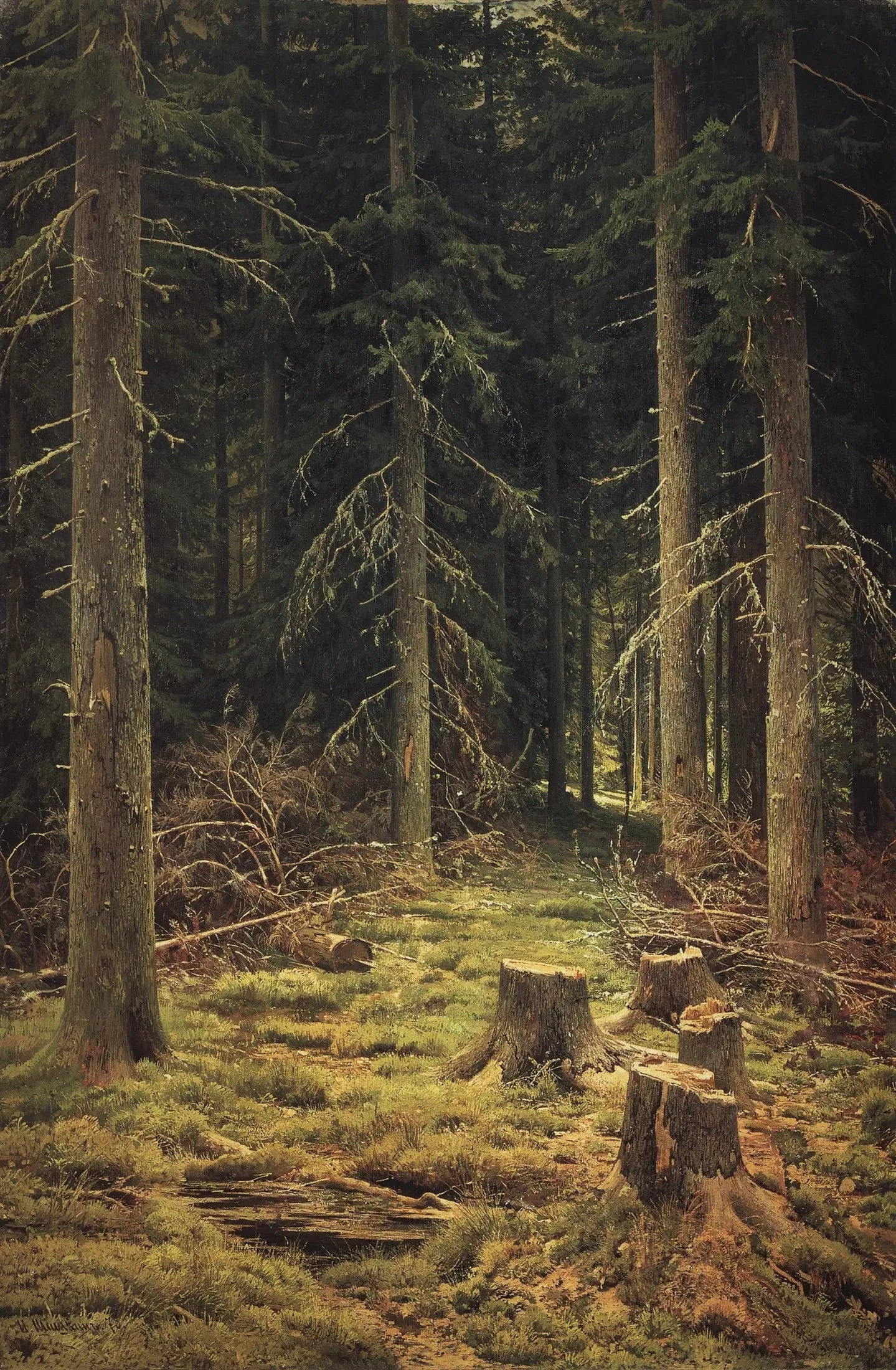 Forêt de conifères - Ivan Chichkine image 1 reproduction artisanale de tableau