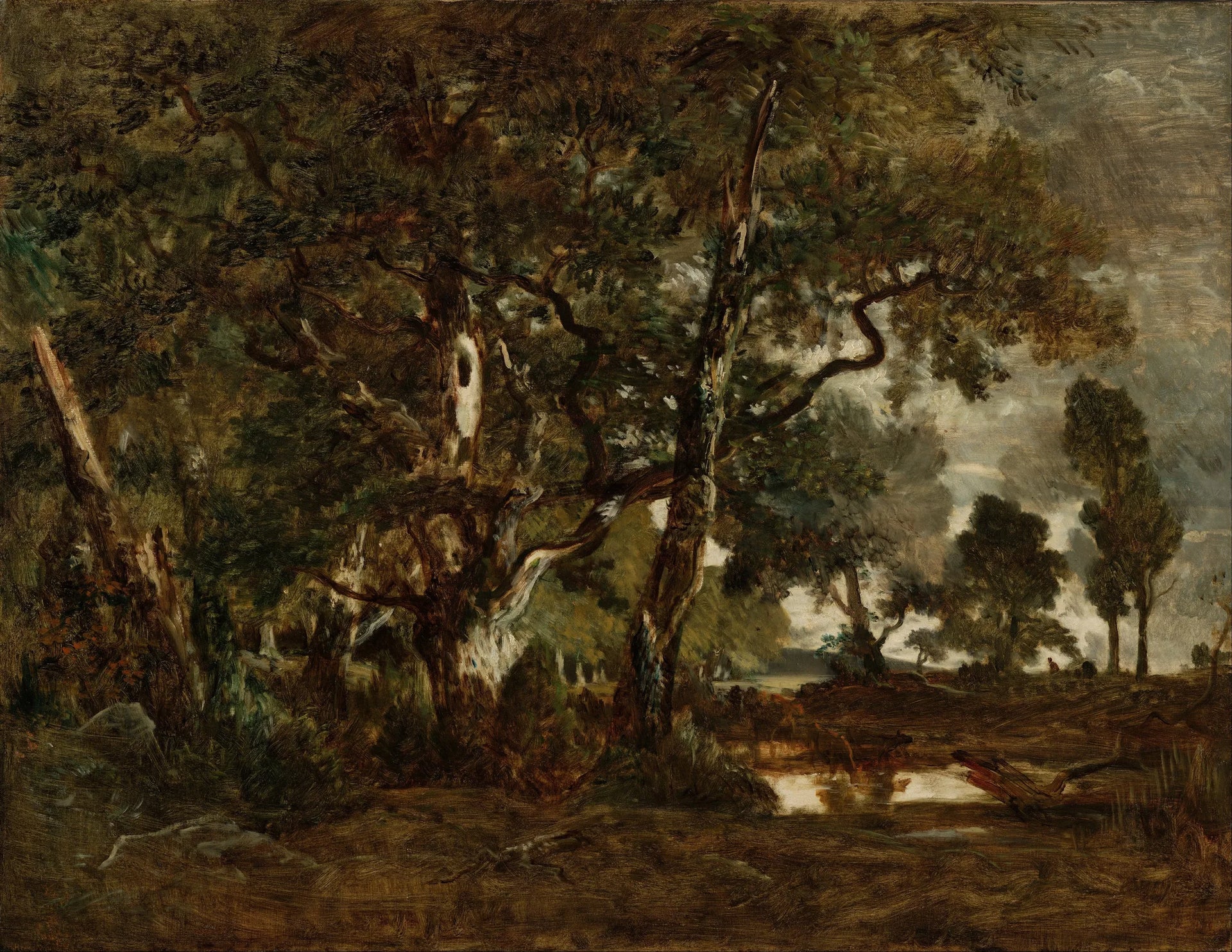 Forêt de Fontainebleau, bosquet de grands arbres dominant la plaine de Clair-Bois à la limite du Bas-Bréau - Théodore Rousseau image 1 reproduction d’œuvre d’art à l’huile