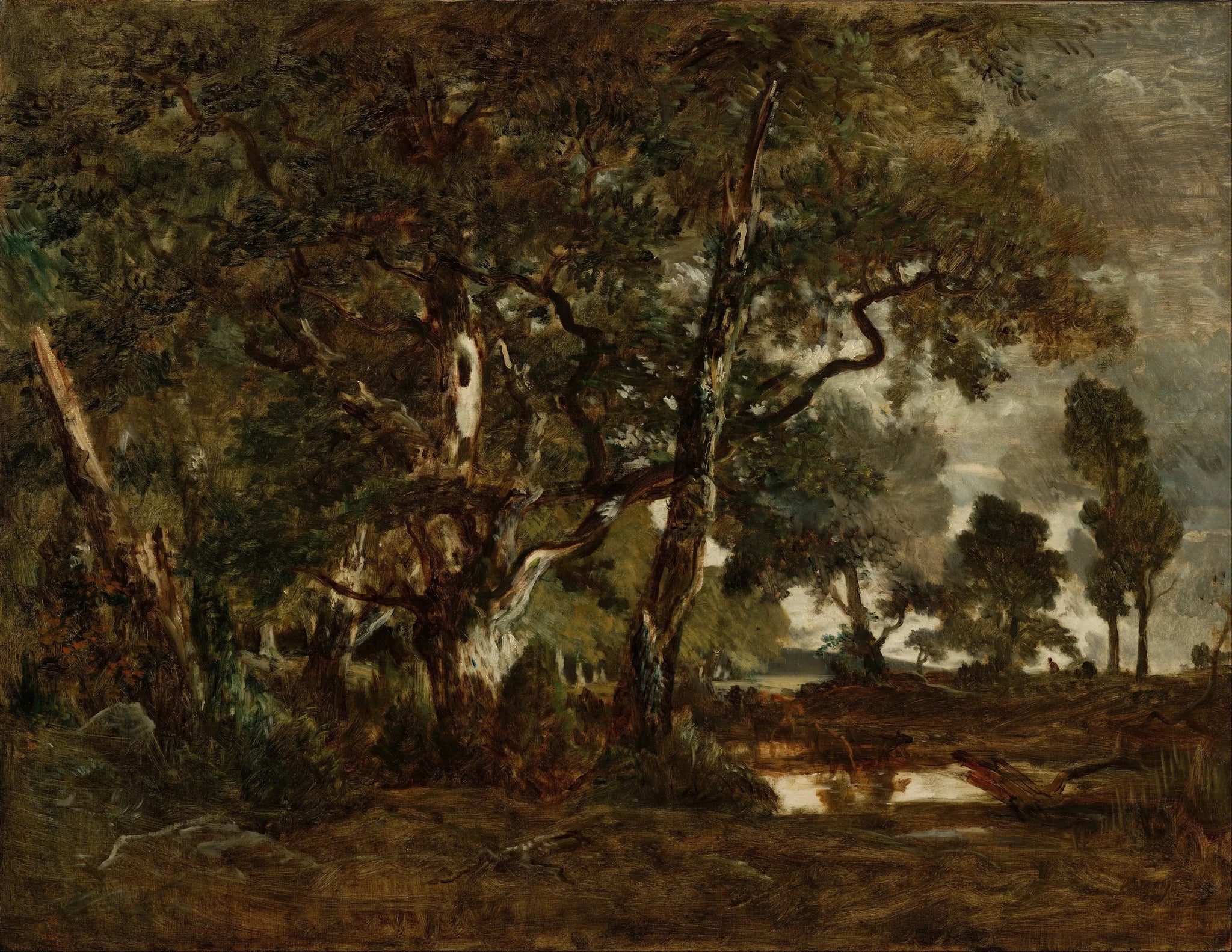 Forêt de Fontainebleau, bosquet de grands arbres dominant la plaine de Clair-Bois à la limite du Bas-Bréau - Théodore Rousseau image 1 reproduction d’œuvre d’art à l’huile