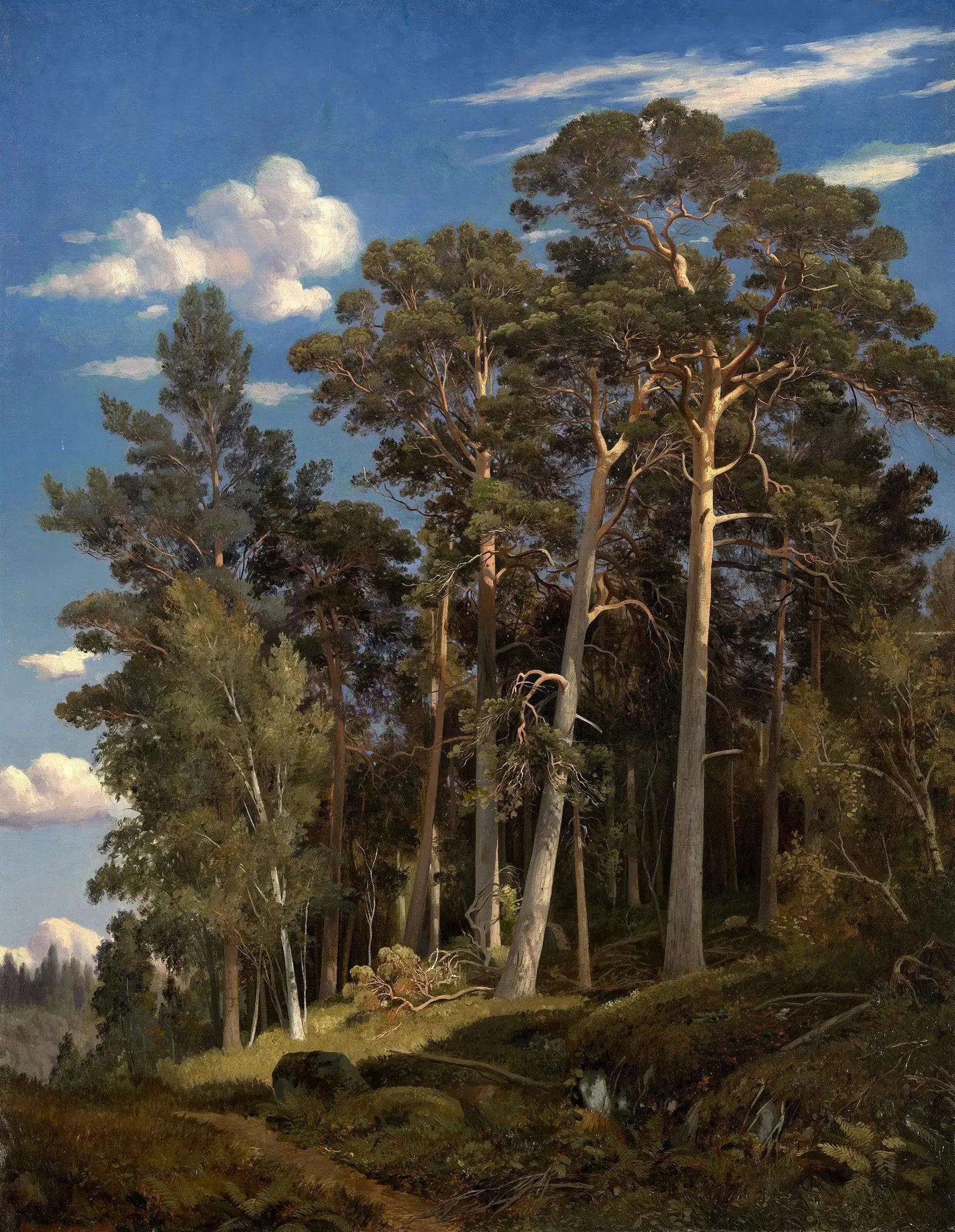 Forêt de pins - Ivan Chichkine image 1 reproduction de peinture à l’huile