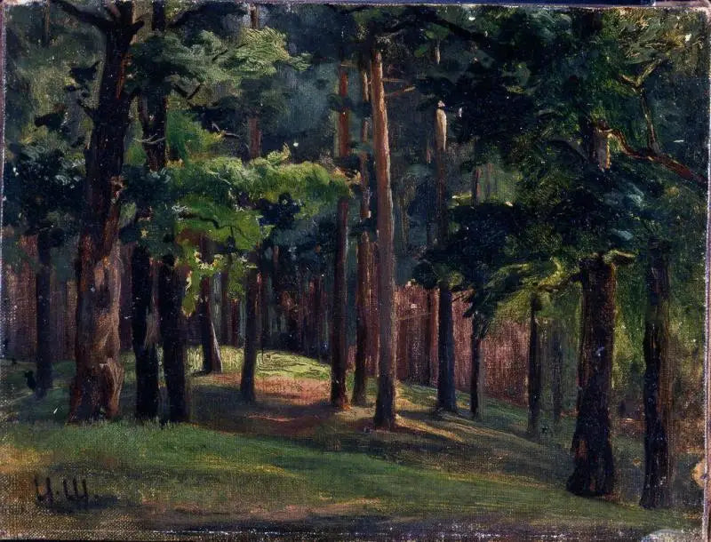 Forêt - Ivan Chichkine