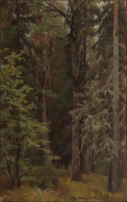 Forêt mixte - Ivan Chichkine image 1 reproduction d’œuvre d’art à l’huile