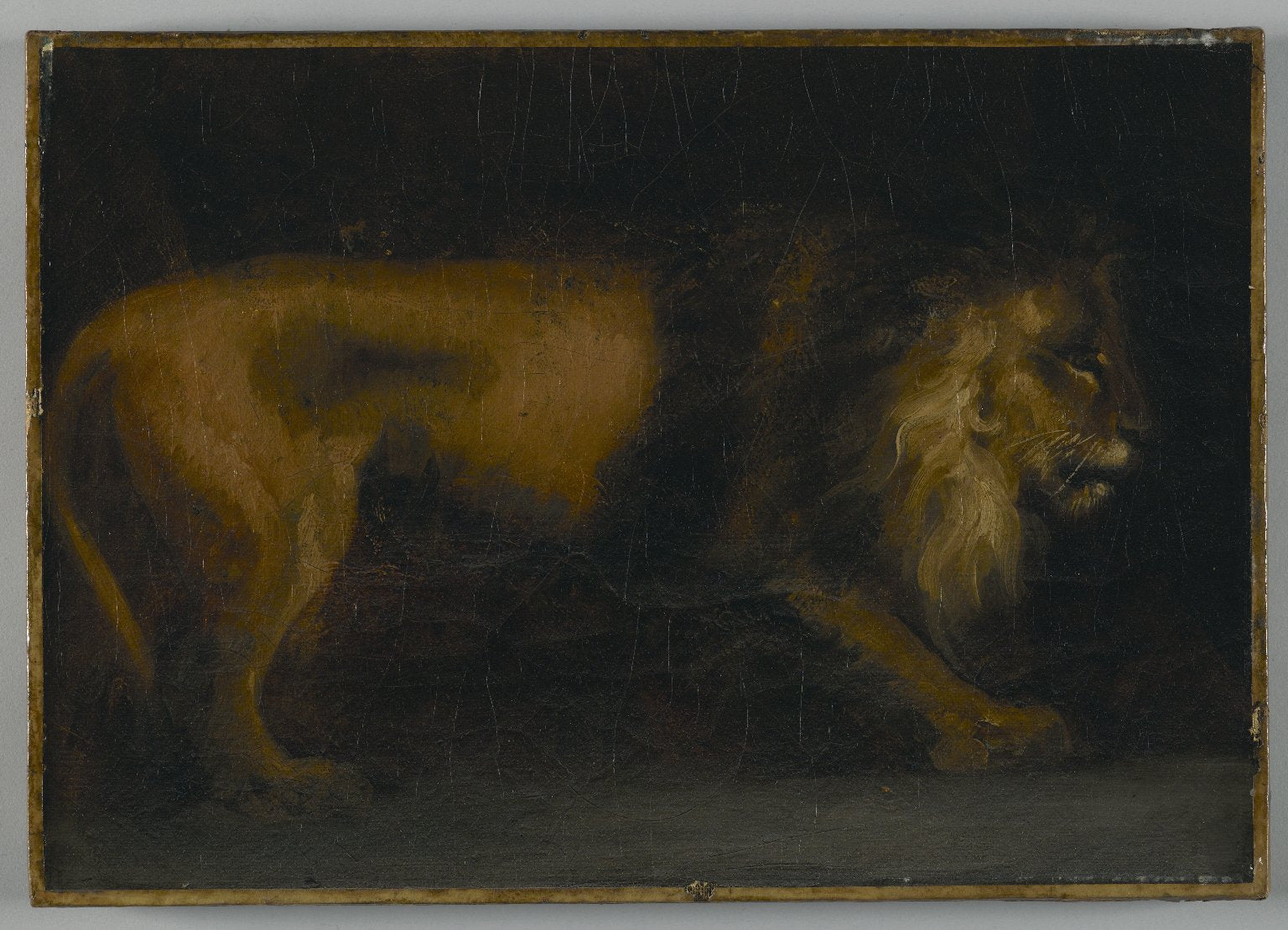 Étude de lion - Théodore Géricault