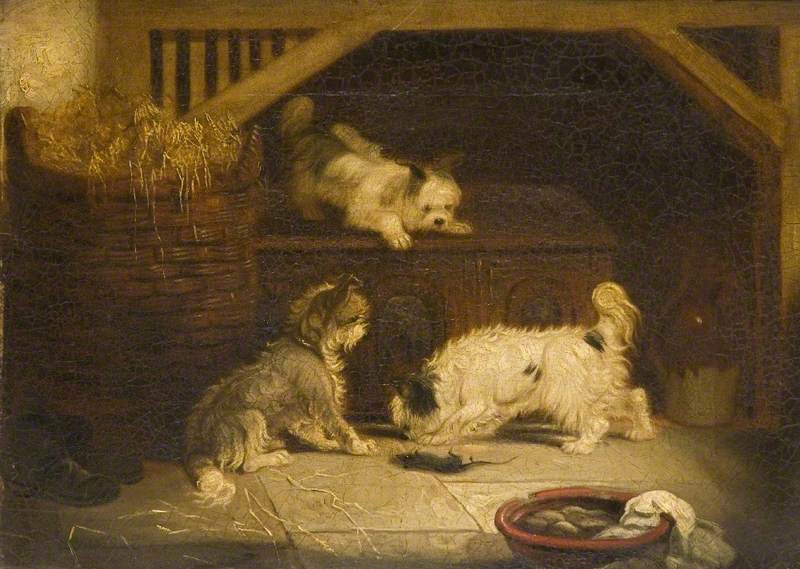 Terriers Ratting - George Armfield