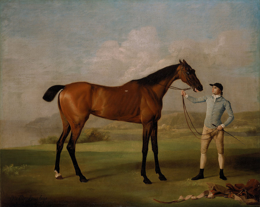 Molly Longlegs with her Jockey - George Stubbs