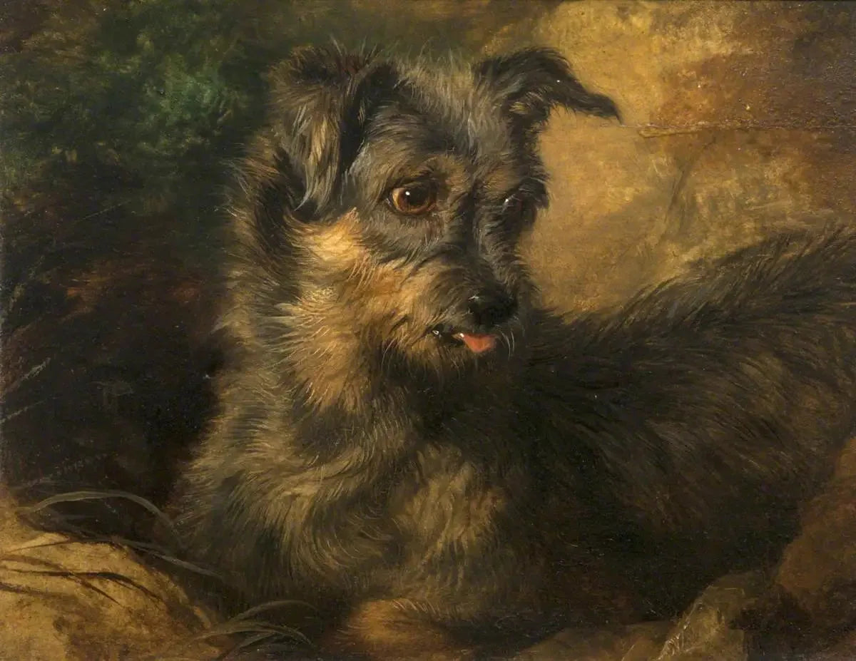 Gingembre' - Edwin Henry Landseer image 1 reproduction réalisée par Alpha Reproduction