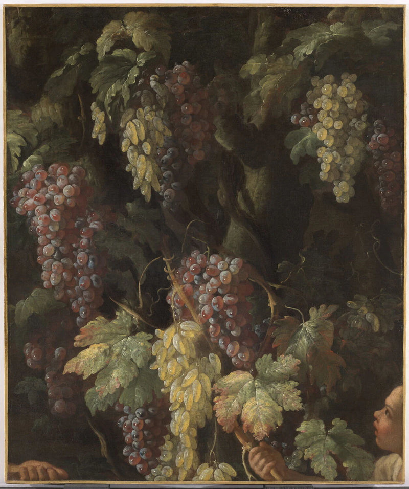Grappes de raisins autour d'un tronc d'arbre - Giovanni Battista Ruoppolo