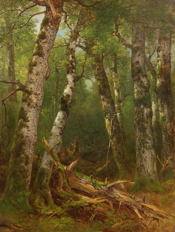 Groupe d'arbres - Asher Brown Durand image 1 reproduction artisanale de tableau