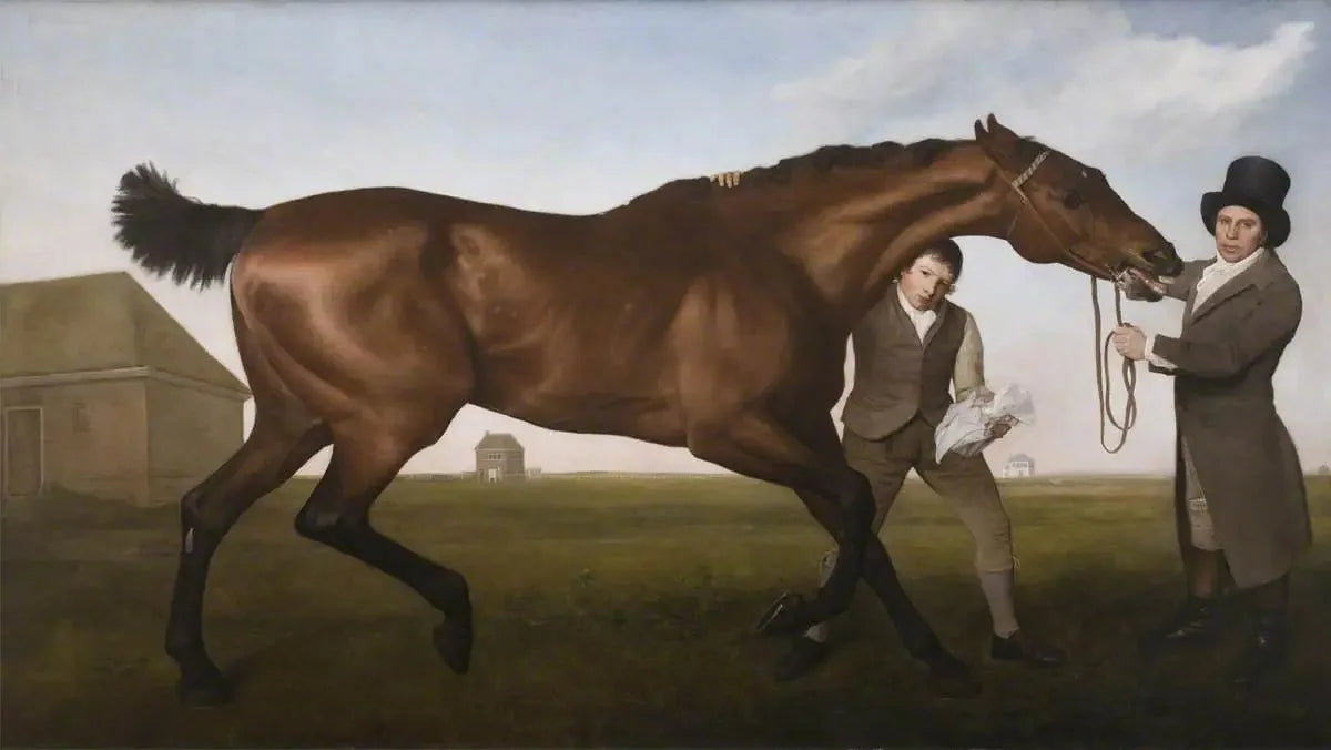 Hambletonien, frotter - George Stubbs image 1 reproduction réalisée par Alpha Reproduction