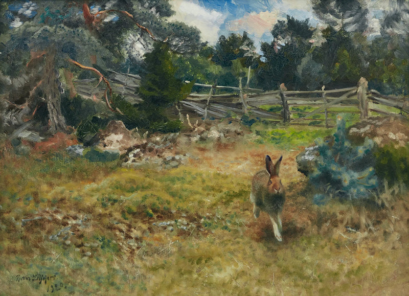 Hare skuttandes genom en hage på Bullerö - Bruno Liljefors