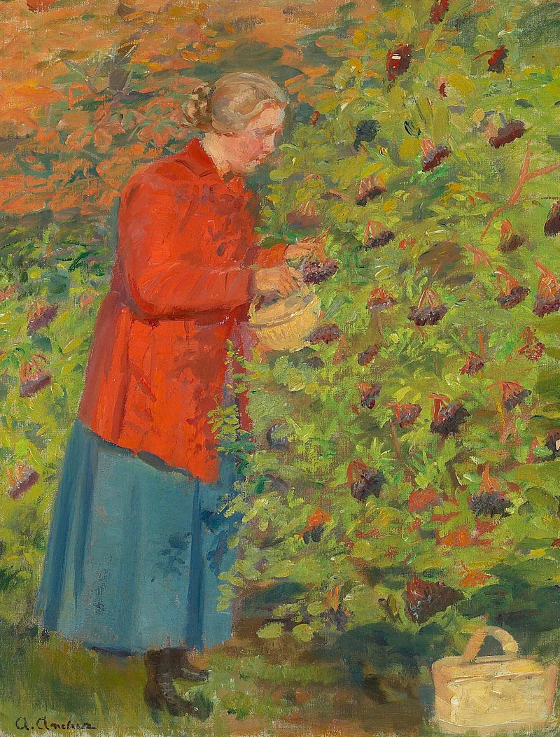 Helga Ancher cueillant des baies de sureau. - Anna Ancher